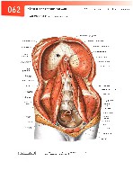 Sobotta  Atlas of Human Anatomy  Trunk, Viscera,Lower Limb Volume2 2006, page 69